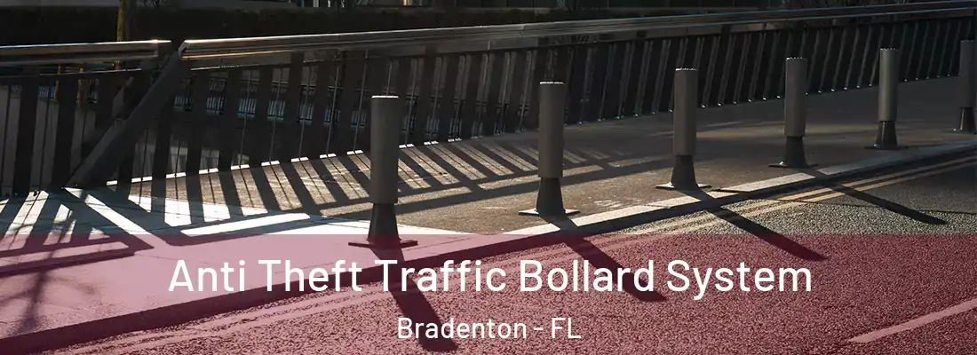  Anti Theft Traffic Bollard System Bradenton - FL