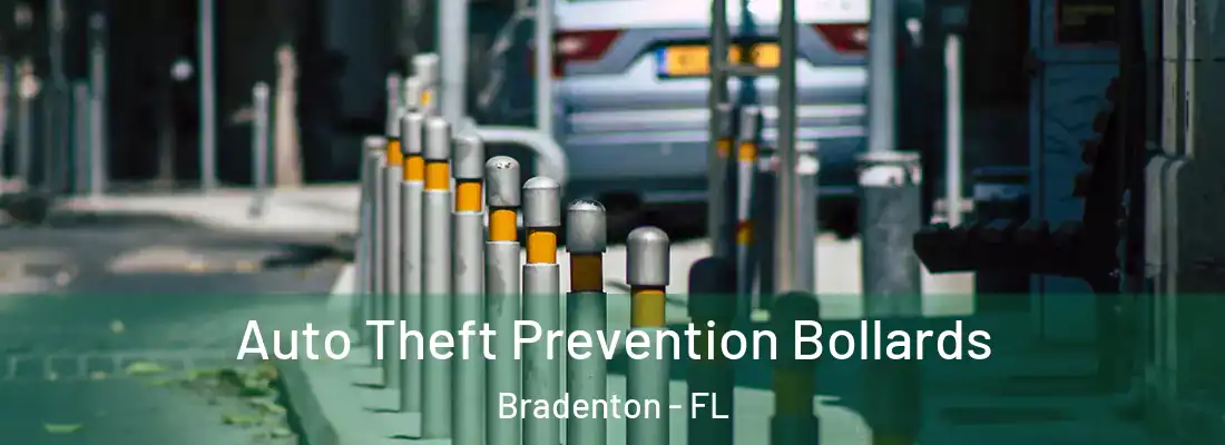  Auto Theft Prevention Bollards Bradenton - FL